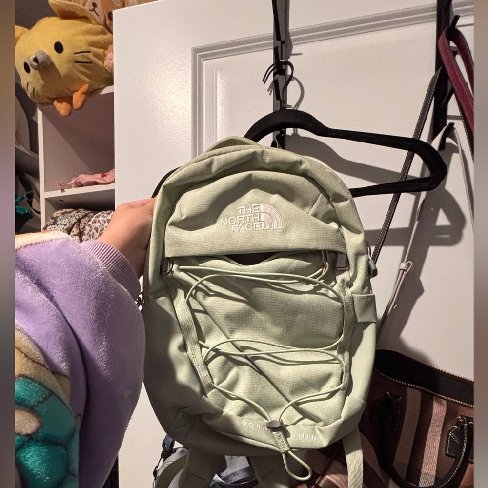 The North Face Light Green Backpack